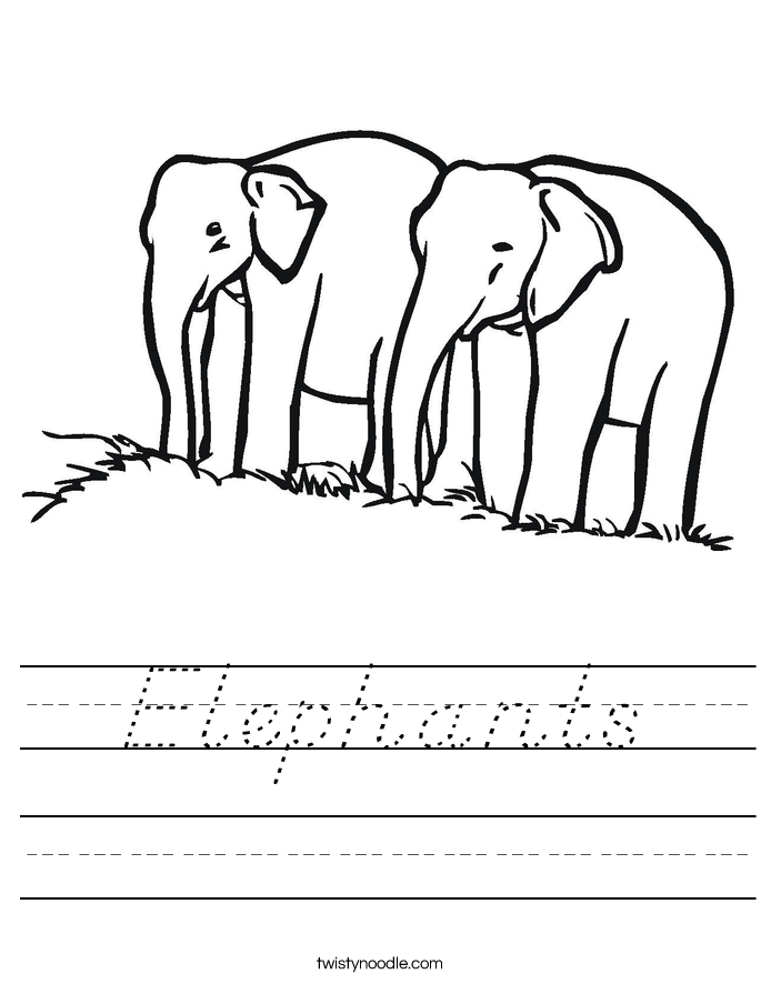 Elephants Worksheet