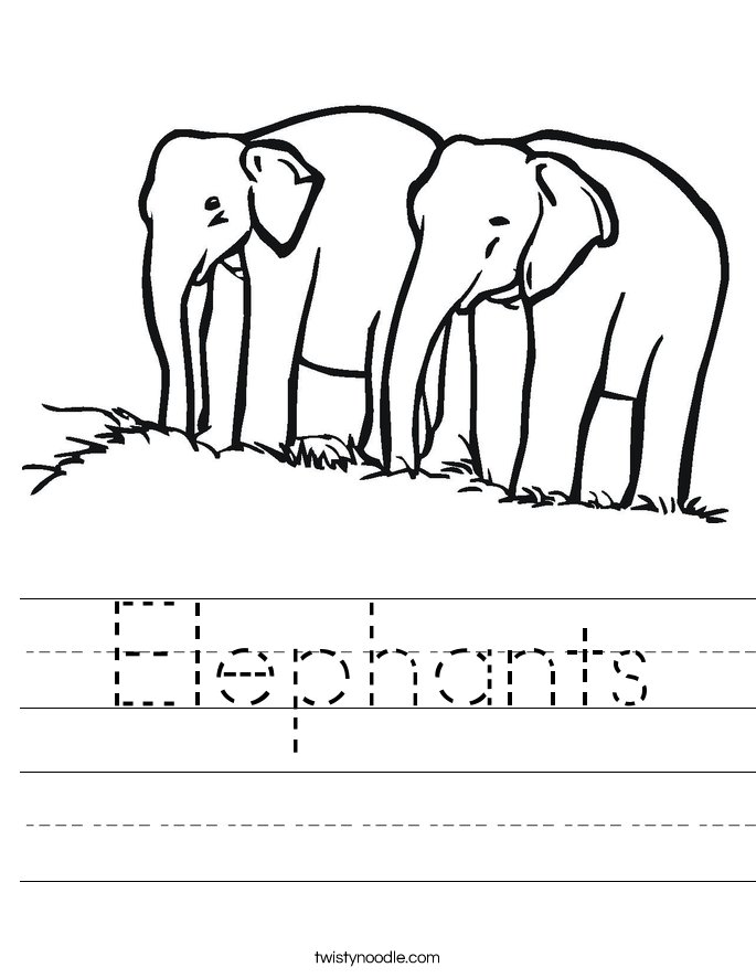 Elephants Worksheet