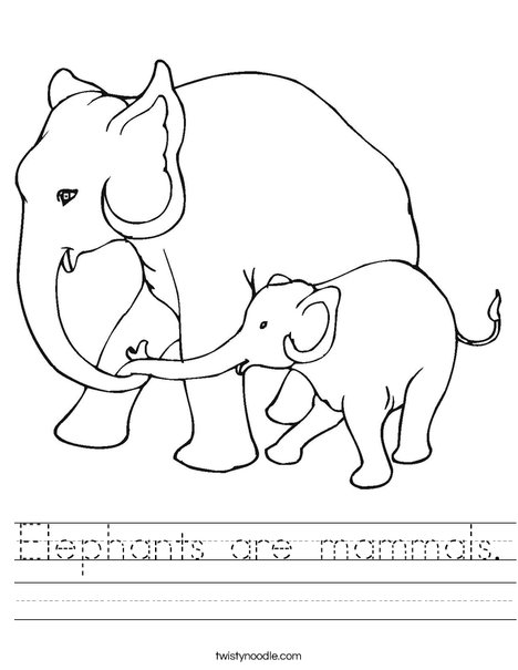 Elephants are mammals. Worksheet