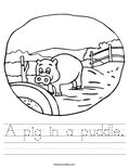 A pig in a puddle. Worksheet