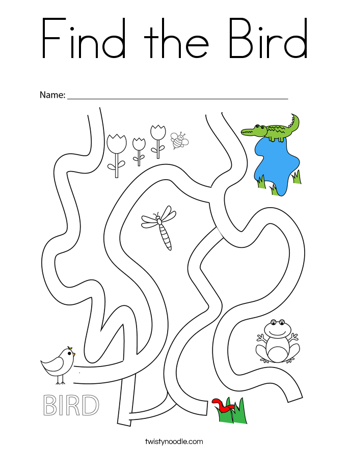 Find the Bird Coloring Page