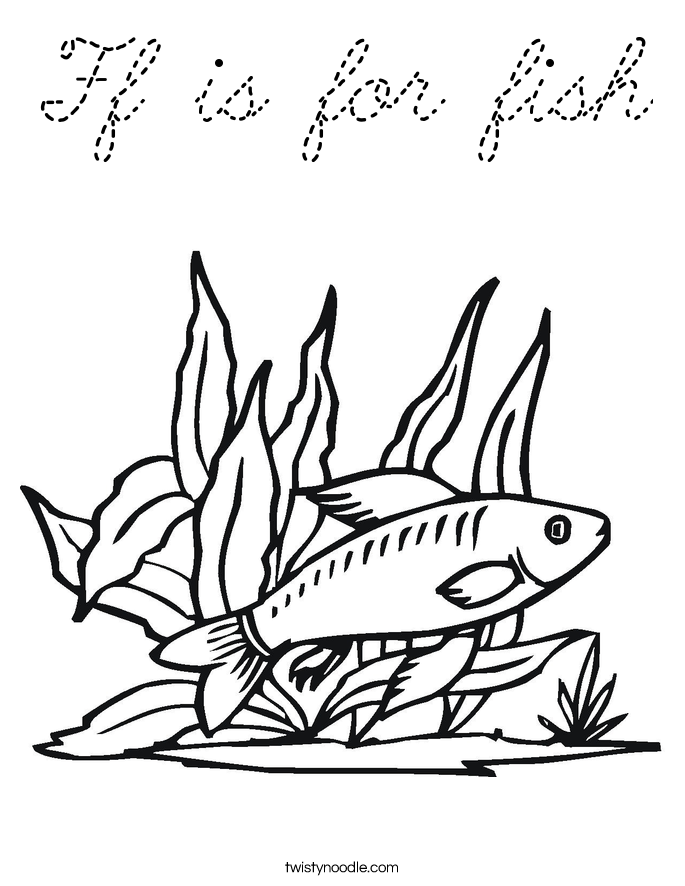  Coloring Page