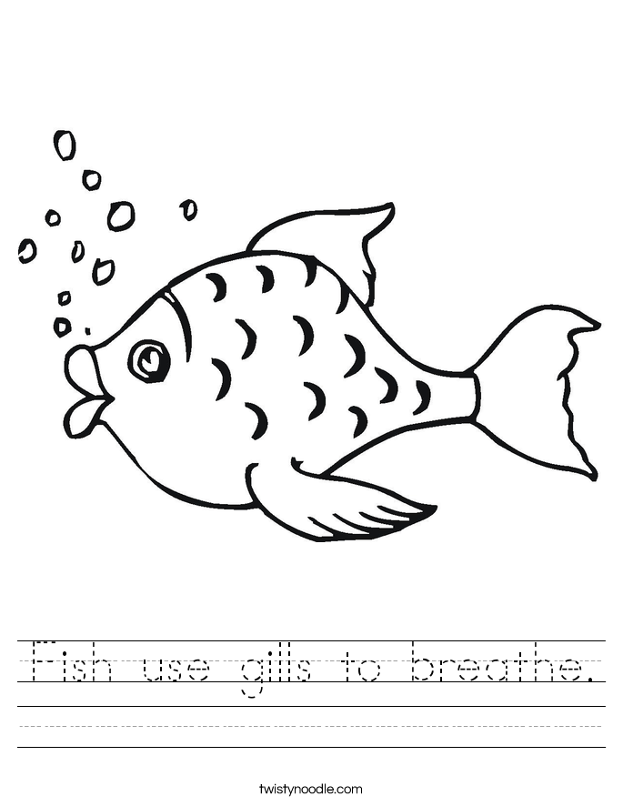 fish-use-gills-to-breathe-worksheet-twisty-noodle