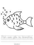 Fish use gills to breathe. Worksheet