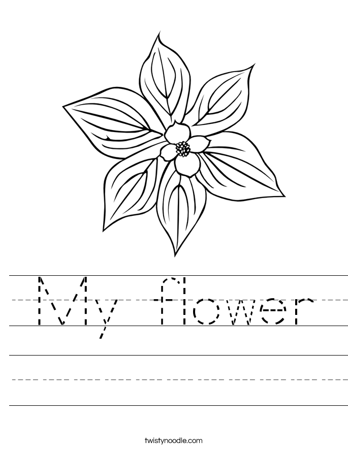 My flower Worksheet