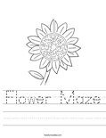 Flower Maze Worksheet