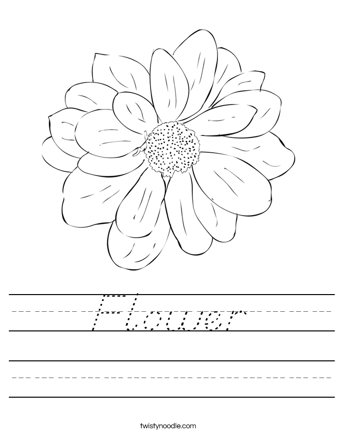 Flower Worksheet