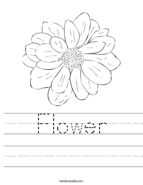 Flower Worksheet