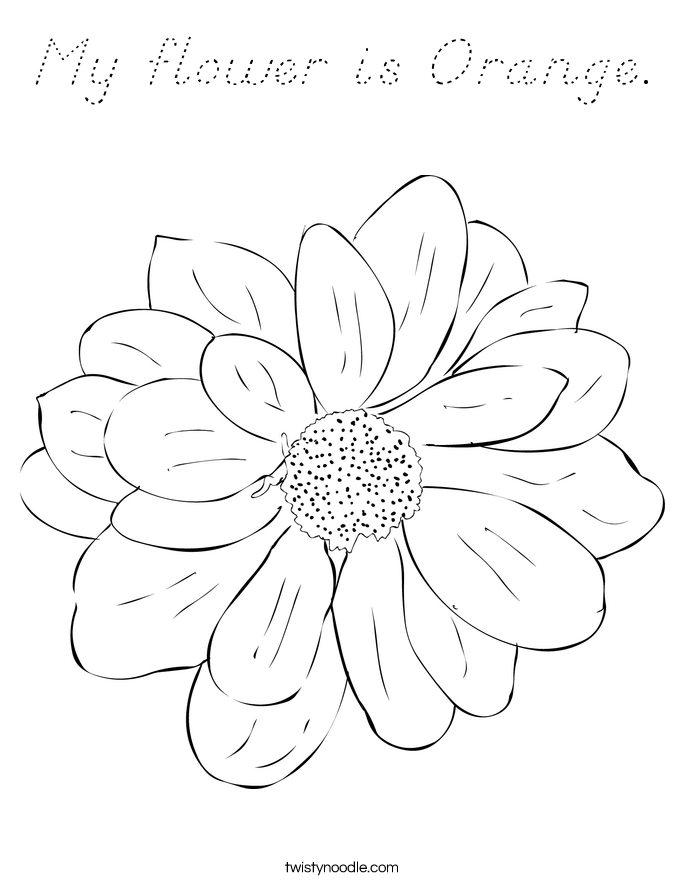 My flower is Orange. Coloring Page
