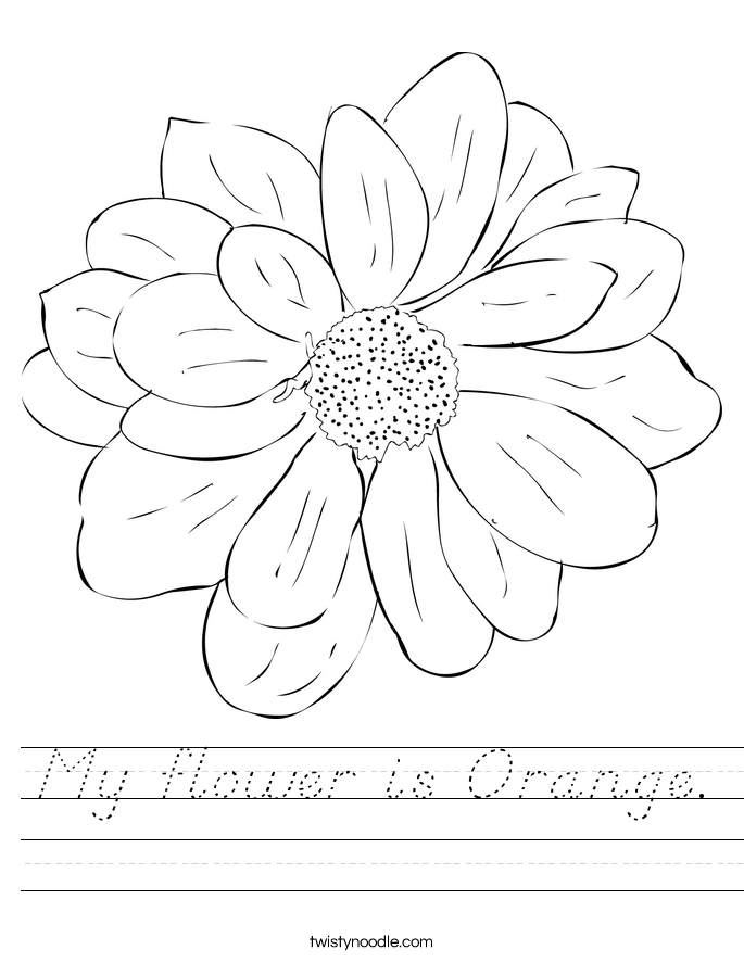 My flower is Orange. Worksheet