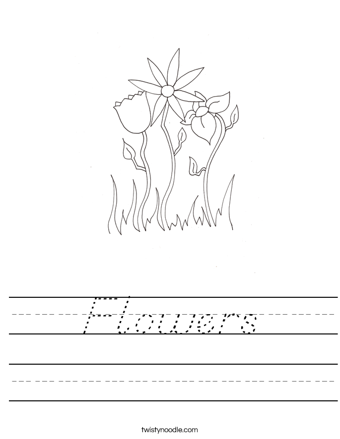 Flowers Worksheet