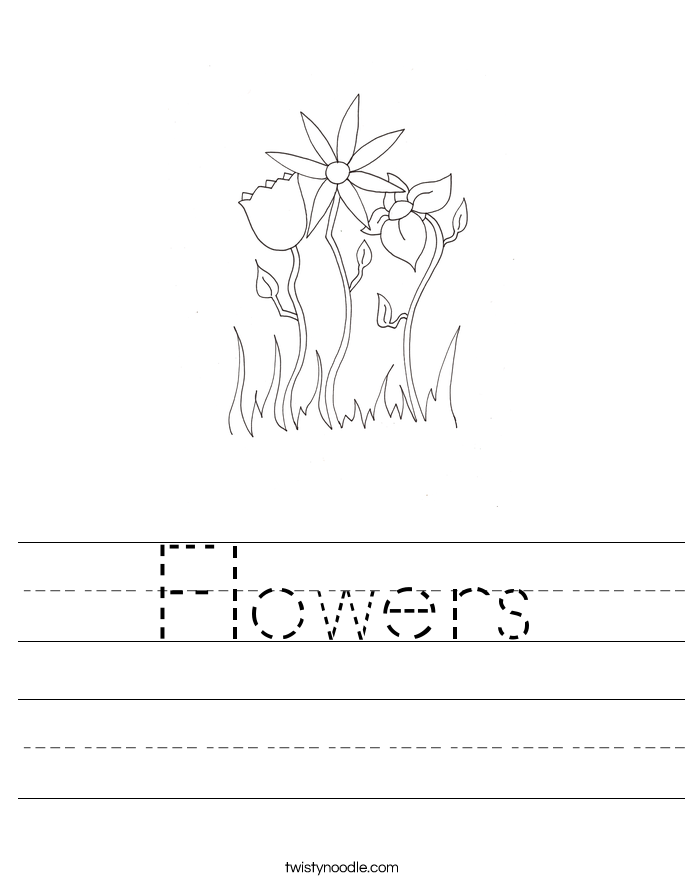 Flowers Worksheet