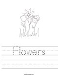 Flowers Worksheet