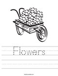 Flowers Worksheet