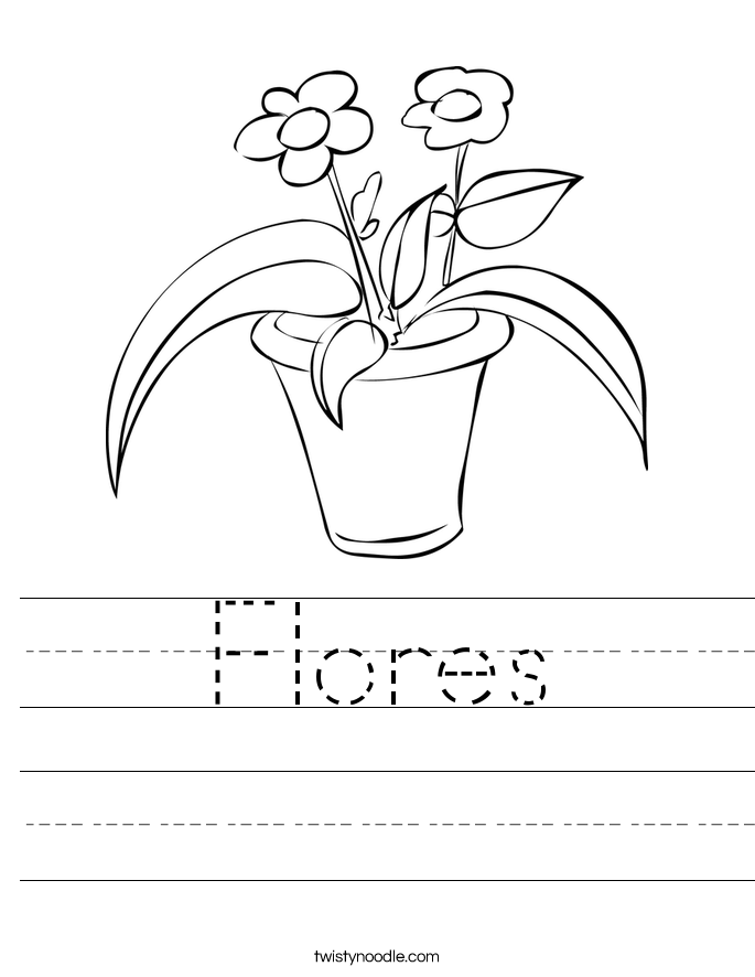 Flores Worksheet