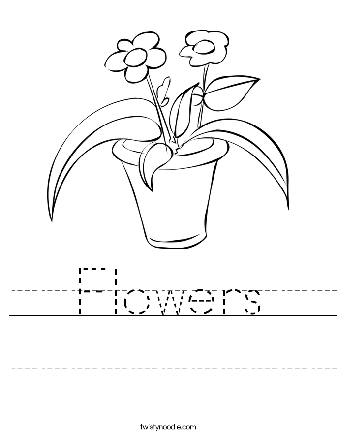 Flowers Worksheet