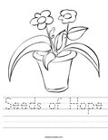 Seeds of Hope Worksheet