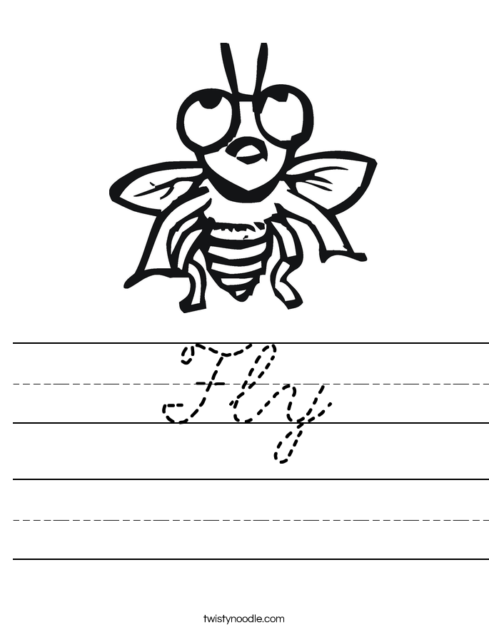 Fly Worksheet