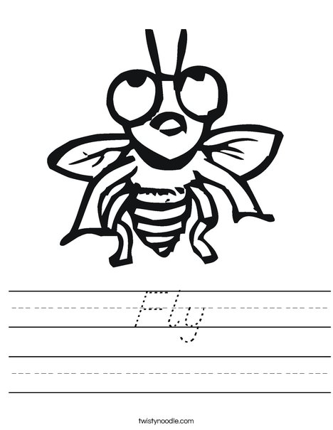 Fly with Big Eyes Worksheet