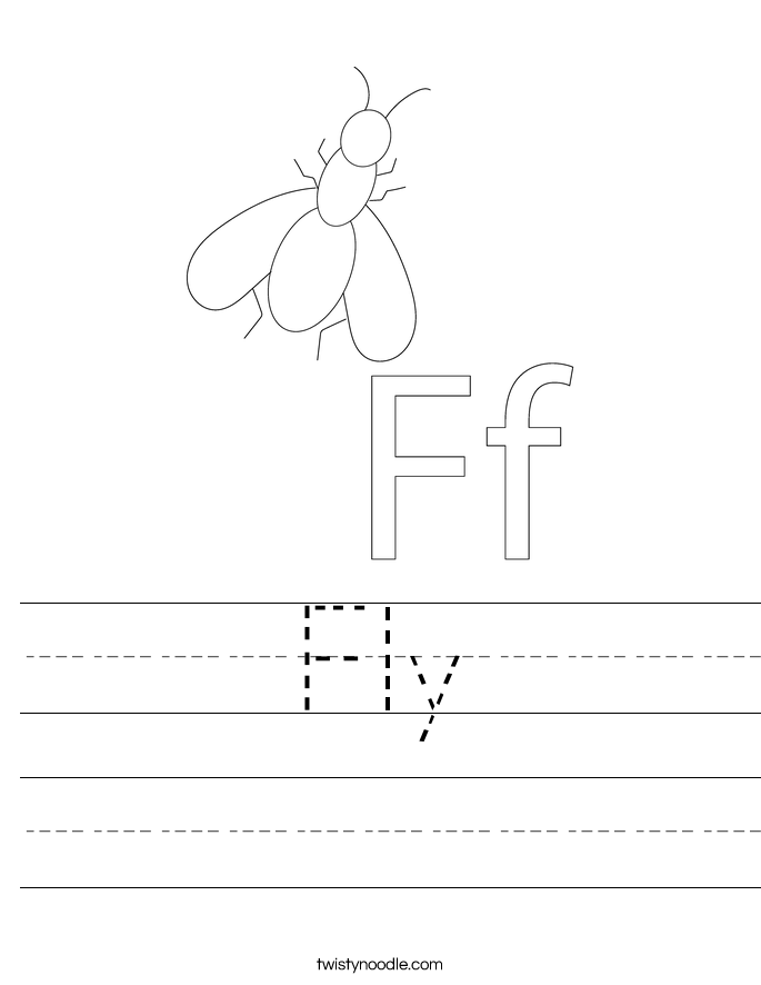 Fly Worksheet