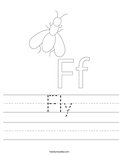 Fly Worksheet
