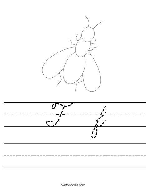 Fly Worksheet