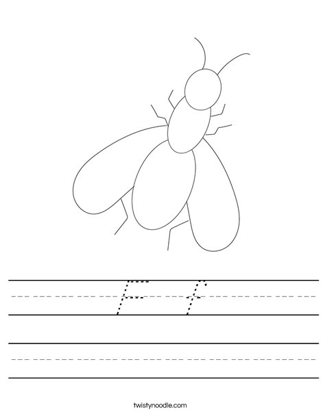 Fly Worksheet