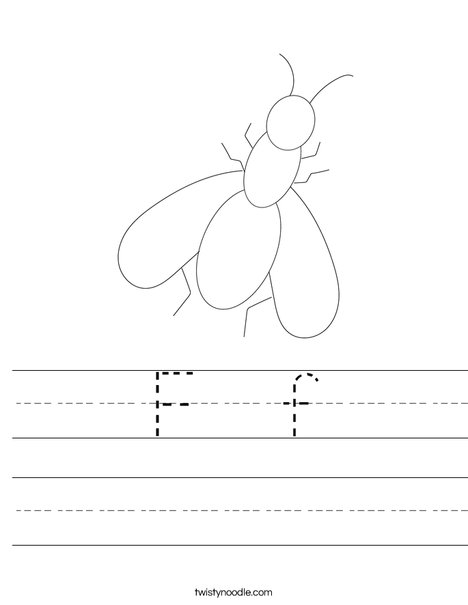 Fly Worksheet