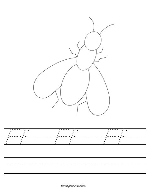 Fly Worksheet