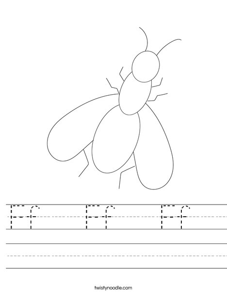 Fly Worksheet