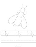 Fly  Fly  Fly Worksheet