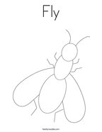 Fly Coloring Page