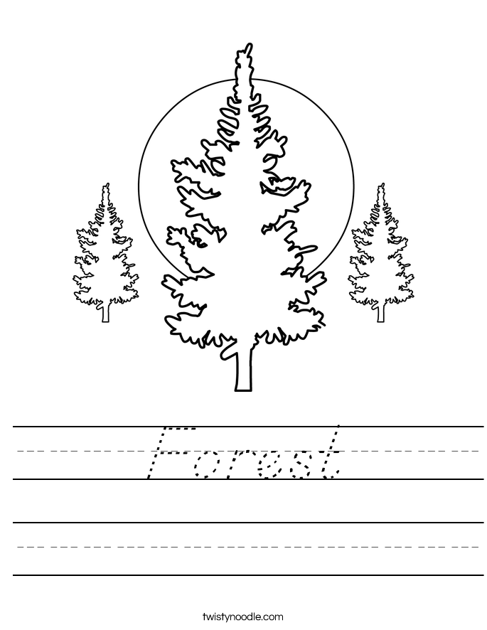 Forest Worksheet