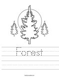 Forest Worksheet