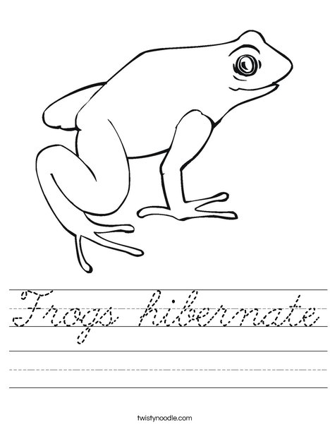 Frog Worksheet