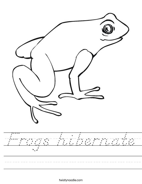 Frog Worksheet