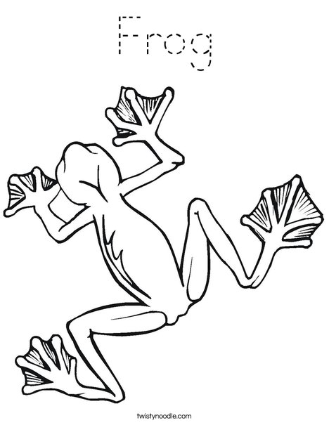 Tree Frog Coloring Page