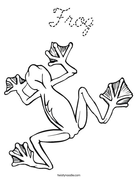 Tree Frog Coloring Page