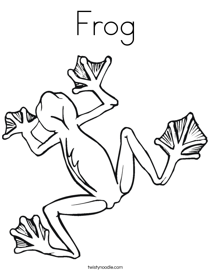 Frog Coloring Page