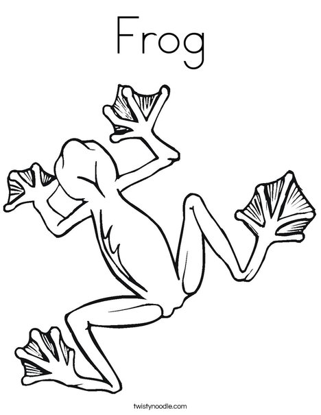 Tree Frog Coloring Page