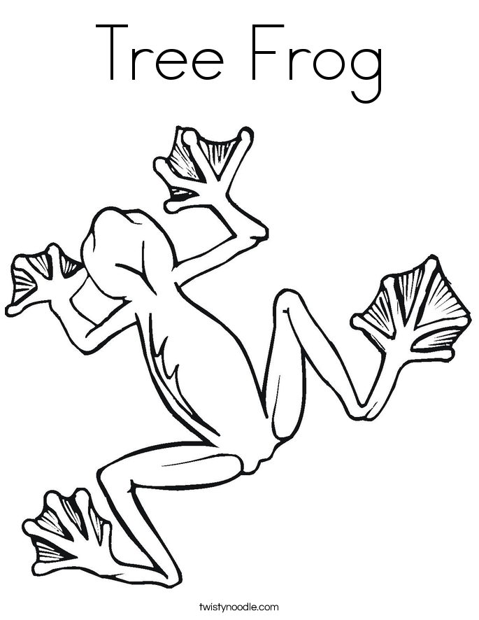 Tree Frog Coloring Page Twisty Noodle