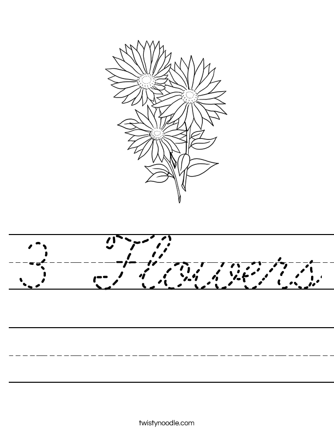 3 Flowers Worksheet