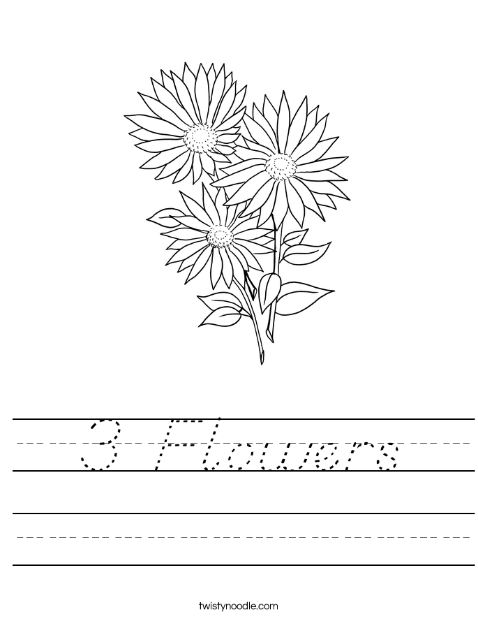 3 Flowers Worksheet