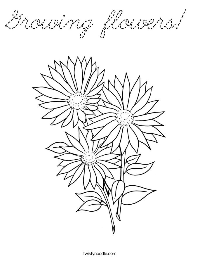  Coloring Page