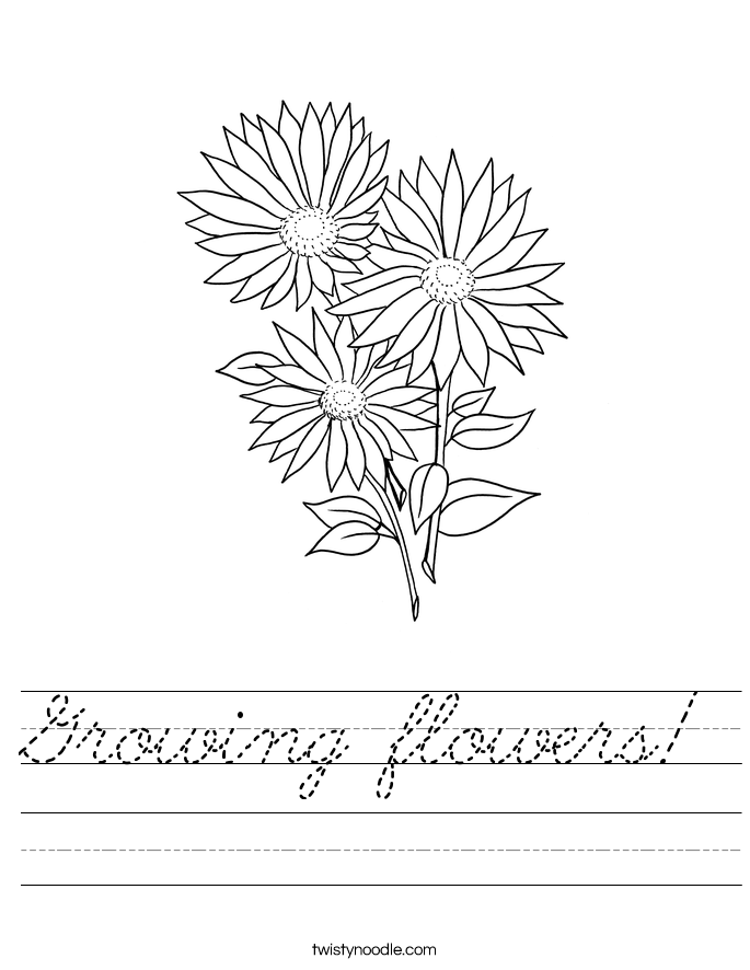 Growing flowers! Worksheet