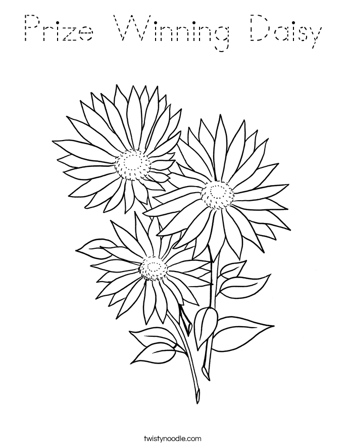 Prize Winning Daisy Coloring Page