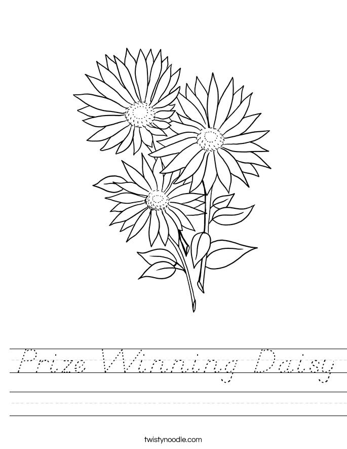 Prize Winning Daisy Worksheet