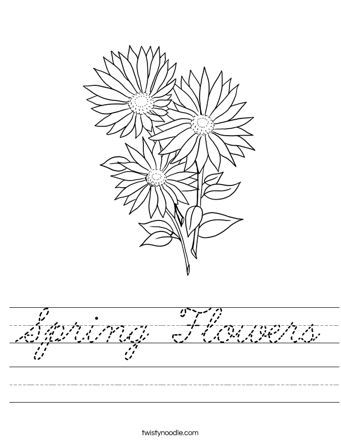 Spring Flowers Worksheet