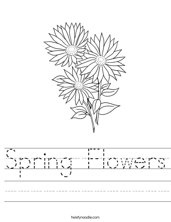 Spring Flowers Worksheet