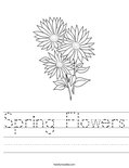 Spring Flowers Worksheet